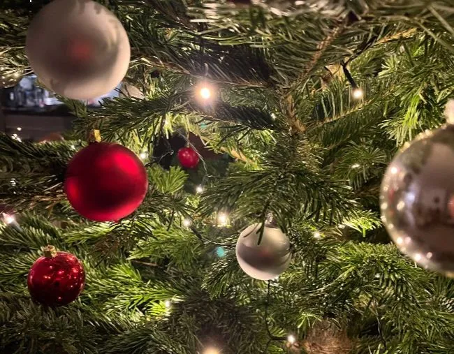 schierle_weihnacht_neujahr (1).jpg